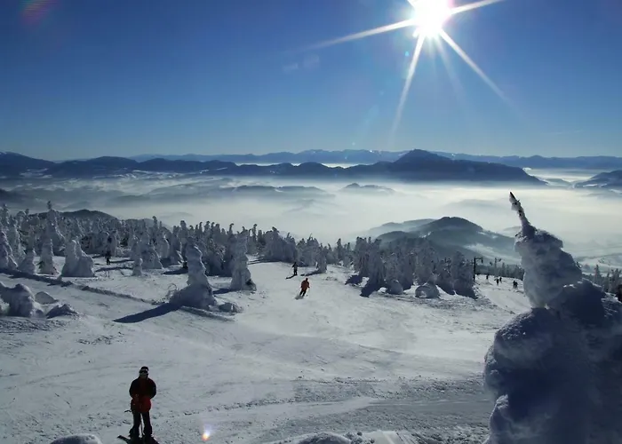 Hytte Chata Telgart Telgárt